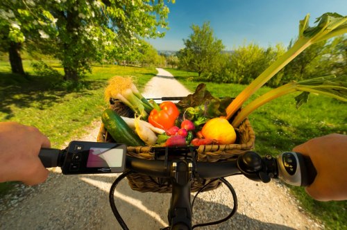 Nicht nur landschaftlich sehr reizvoll - kombiniert mit gutem Essen ist eine Radtour am Bodensee noch schöner.