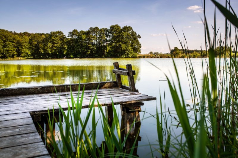 Ruhe und Erholung pur am Olreuter See