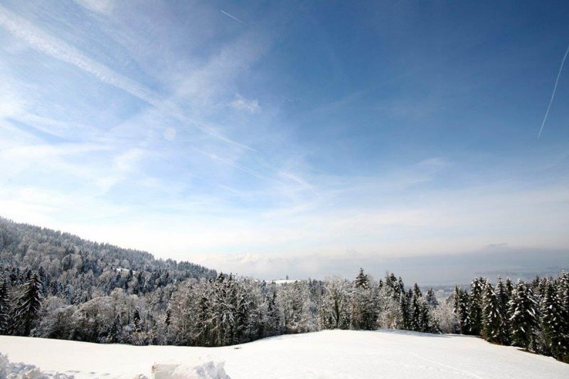 Winterlandschaft Eichenberg
