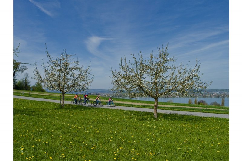 Genießen Sie bei Ihrer Radtour bei Ermatingen die Sicht auf die Insel Reichenau