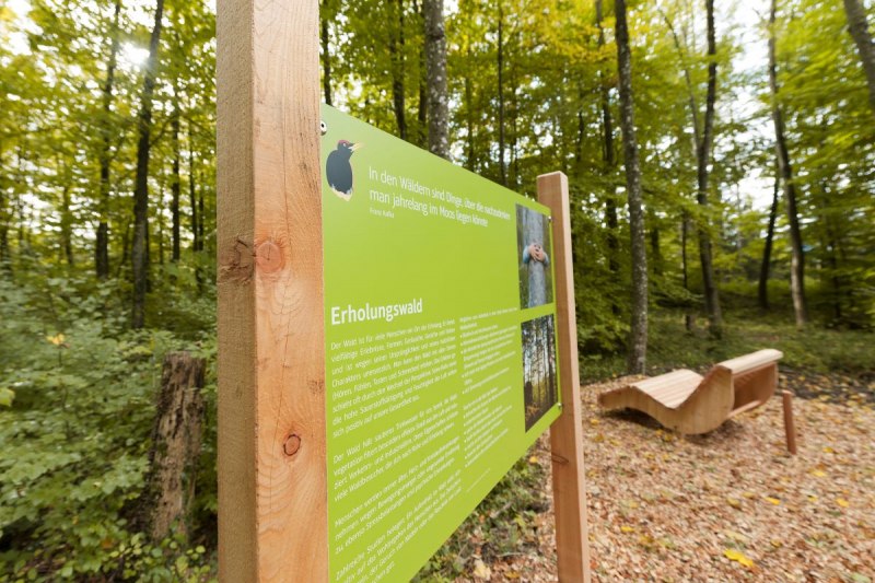 40 Informationstafeln erklären Details zum Erlebnisraum Wald.